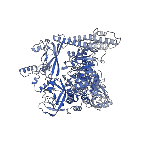 8585_6alf_I_v1-7
CryoEM structure of crosslinked E.coli RNA polymerase elongation complex