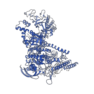 8585_6alf_J_v1-6
CryoEM structure of crosslinked E.coli RNA polymerase elongation complex