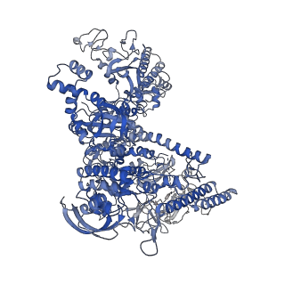 8585_6alf_J_v1-7
CryoEM structure of crosslinked E.coli RNA polymerase elongation complex