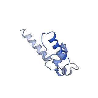 8585_6alf_K_v1-6
CryoEM structure of crosslinked E.coli RNA polymerase elongation complex