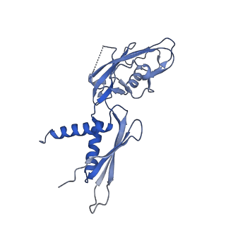 8586_6alh_G_v1-6
CryoEM structure of E.coli RNA polymerase elongation complex