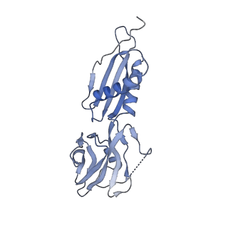 8586_6alh_H_v1-6
CryoEM structure of E.coli RNA polymerase elongation complex