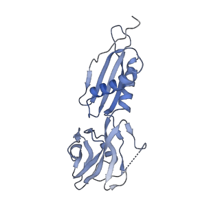 8586_6alh_H_v1-7
CryoEM structure of E.coli RNA polymerase elongation complex