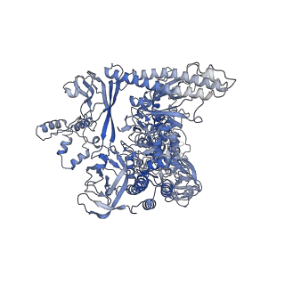 8586_6alh_I_v1-6
CryoEM structure of E.coli RNA polymerase elongation complex