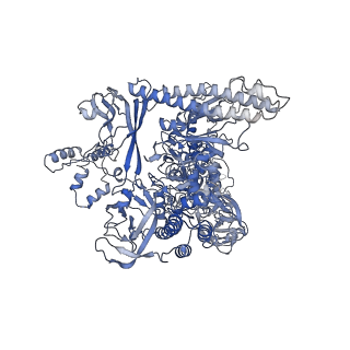 8586_6alh_I_v1-7
CryoEM structure of E.coli RNA polymerase elongation complex