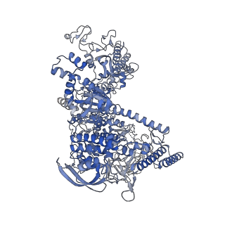 8586_6alh_J_v1-6
CryoEM structure of E.coli RNA polymerase elongation complex