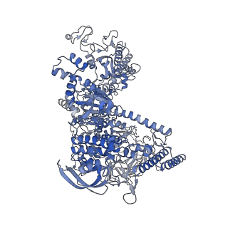 8586_6alh_J_v1-7
CryoEM structure of E.coli RNA polymerase elongation complex