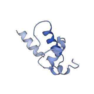 8586_6alh_K_v1-6
CryoEM structure of E.coli RNA polymerase elongation complex