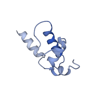 8586_6alh_K_v1-7
CryoEM structure of E.coli RNA polymerase elongation complex