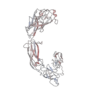 11822_7aml_A_v1-2
RET/GDNF/GFRa1 extracellular complex Cryo-EM structure