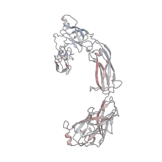 11822_7aml_D_v1-2
RET/GDNF/GFRa1 extracellular complex Cryo-EM structure