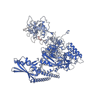 11824_7amv_A_v1-2
Atomic structure of the poxvirus transcription pre-initiation complex in the initially melted state