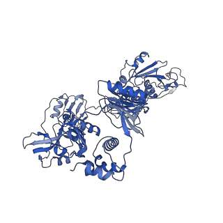 11824_7amv_K_v1-2
Atomic structure of the poxvirus transcription pre-initiation complex in the initially melted state