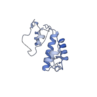 11824_7amv_S_v1-2
Atomic structure of the poxvirus transcription pre-initiation complex in the initially melted state