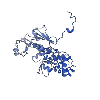 11827_7amy_A_v1-1
Nonameric cytoplasmic domain of FlhA from Vibrio parahaemolyticus