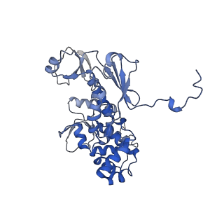 11827_7amy_B_v1-1
Nonameric cytoplasmic domain of FlhA from Vibrio parahaemolyticus
