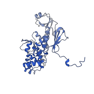 11827_7amy_C_v1-1
Nonameric cytoplasmic domain of FlhA from Vibrio parahaemolyticus
