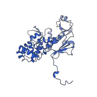 11827_7amy_D_v1-1
Nonameric cytoplasmic domain of FlhA from Vibrio parahaemolyticus