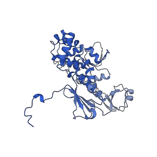 11827_7amy_E_v1-1
Nonameric cytoplasmic domain of FlhA from Vibrio parahaemolyticus