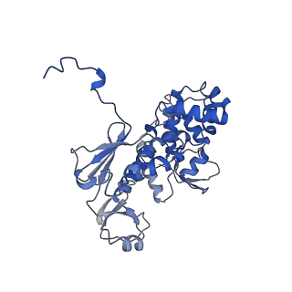 11827_7amy_H_v1-1
Nonameric cytoplasmic domain of FlhA from Vibrio parahaemolyticus