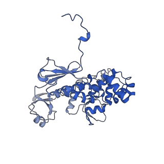11827_7amy_I_v1-1
Nonameric cytoplasmic domain of FlhA from Vibrio parahaemolyticus