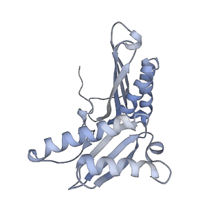15523_8am9_D_v1-2
Cryo-EM structure of the proline-rich antimicrobial peptide drosocin bound to the elongating ribosome