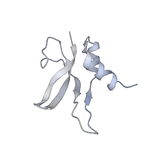 15523_8am9_Q_v1-2
Cryo-EM structure of the proline-rich antimicrobial peptide drosocin bound to the elongating ribosome
