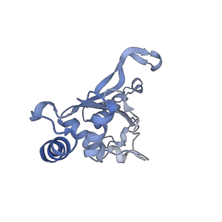 15523_8am9_f_v1-2
Cryo-EM structure of the proline-rich antimicrobial peptide drosocin bound to the elongating ribosome