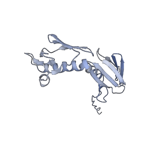 15523_8am9_g_v1-2
Cryo-EM structure of the proline-rich antimicrobial peptide drosocin bound to the elongating ribosome