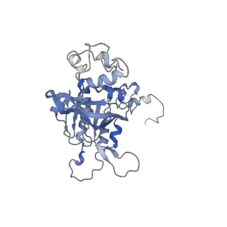 15524_8amd_A_v1-1
Cryo-EM structure of the RecA presynaptic filament from S.pneumoniae