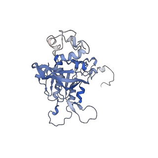 15524_8amd_A_v1-2
Cryo-EM structure of the RecA presynaptic filament from S.pneumoniae