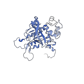 15524_8amd_B_v1-1
Cryo-EM structure of the RecA presynaptic filament from S.pneumoniae