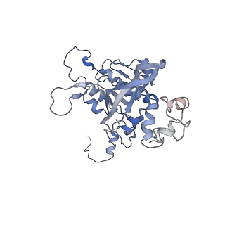 15524_8amd_F_v1-2
Cryo-EM structure of the RecA presynaptic filament from S.pneumoniae