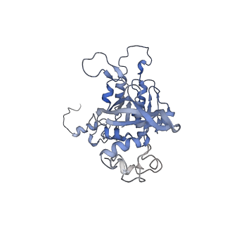 15524_8amd_G_v1-2
Cryo-EM structure of the RecA presynaptic filament from S.pneumoniae