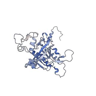 15525_8amf_A_v1-1
Cryo-EM structure of the RecA postsynaptic filament from S. pneumoniae