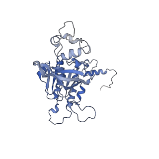 15525_8amf_B_v1-1
Cryo-EM structure of the RecA postsynaptic filament from S. pneumoniae