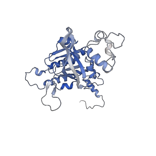 15525_8amf_F_v1-1
Cryo-EM structure of the RecA postsynaptic filament from S. pneumoniae