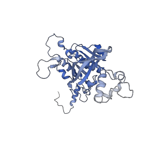 15525_8amf_G_v1-1
Cryo-EM structure of the RecA postsynaptic filament from S. pneumoniae