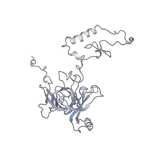 11829_7ane_A_v1-0
Leishmania Major mitochondrial ribosome