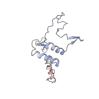 11829_7ane_Aa_v1-0
Leishmania Major mitochondrial ribosome