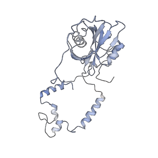 11829_7ane_Ac_v1-0
Leishmania Major mitochondrial ribosome