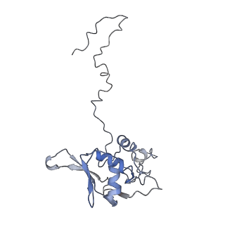 11829_7ane_Ad_v1-0
Leishmania Major mitochondrial ribosome