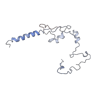 11829_7ane_Af_v1-0
Leishmania Major mitochondrial ribosome