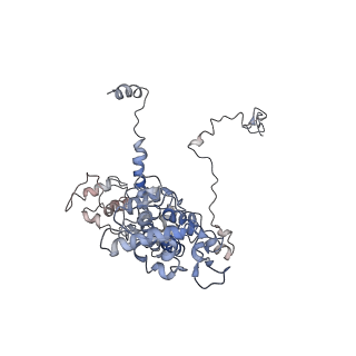 11829_7ane_Ah_v1-0
Leishmania Major mitochondrial ribosome