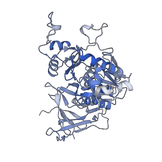 11829_7ane_Ai_v1-0
Leishmania Major mitochondrial ribosome