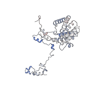 11829_7ane_Aj_v1-0
Leishmania Major mitochondrial ribosome