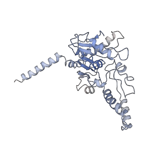 11829_7ane_Ak_v1-0
Leishmania Major mitochondrial ribosome