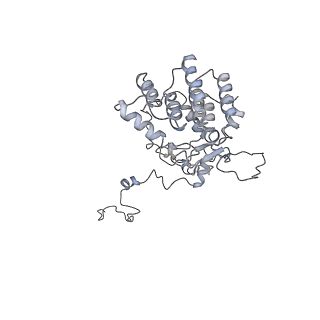 11829_7ane_Am_v1-0
Leishmania Major mitochondrial ribosome