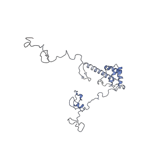 11829_7ane_Ao_v1-0
Leishmania Major mitochondrial ribosome