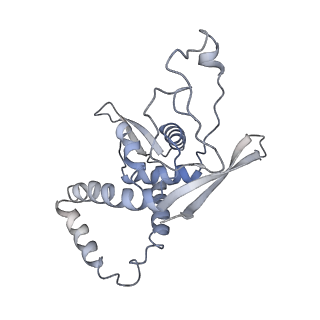 11829_7ane_Ap_v1-0
Leishmania Major mitochondrial ribosome